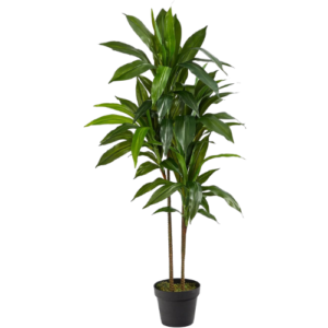 48" Artificial Dracaena Silk Plant with Real Touch Leaves, Multi-Tonal Trunks, and Pot, Large Indoor Faux Plant